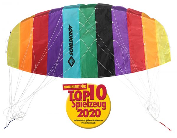 Dual Line Sport Kite 1.3